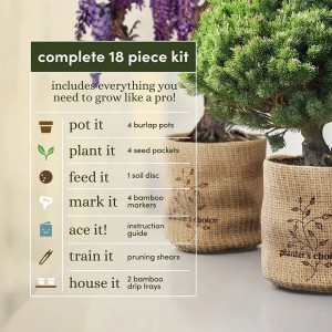 The Ultimate Bonsai Growing Kit